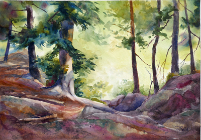 Elora Gorge