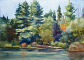 Tea Lake, Algonquin