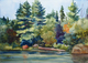 Tea Lake, Algonquin