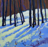 Winter Sunlight 1296