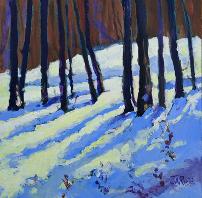 Winter Sunlight 1296